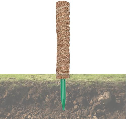 WJnflQN Postes de musgo para plantas trepadoras, postes de musgo de coco extraíbles Monstera soportes para plantas, enrejado de palos de jardín, estacas de plantas de interior para pothos, filodendro,
