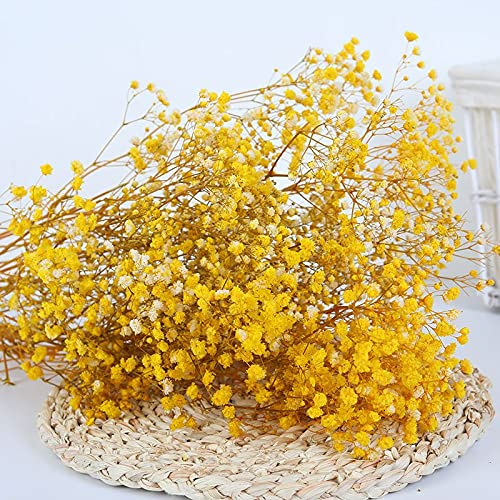 YIWOYI - Ramo de flores secas naturales Gypsophila paniculata preservadas para decoración del hogar y fiestas de boda, color amarillo, 30-40 cm, 30 g
