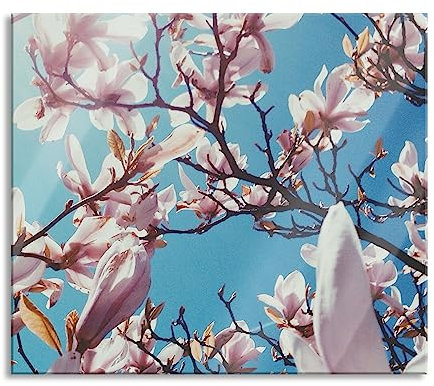 Zarte Rosa Magnolie Blüten Herdabdeckplatte & Spritzschutz aus Echtglas | Für Herd-Kochfelder | 60x52 cm