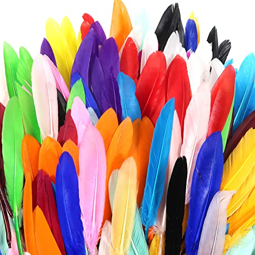 TOAOB 250 Stück Bunte Indianer Federn Natürliche Feder 10 bis 15cm läng für DIY Handwerk Dekoration