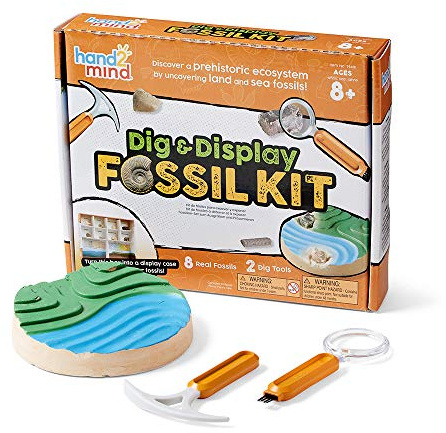 hand2mind Dig & Display Fossil Dig Kit, Fossil Display Case, 8 Real Fossils to Uncover, Dig Kits for Kids, Fossil Digging Kit for Kids, Excavation Kit for Kids, Fossil Science, Archeology Kits