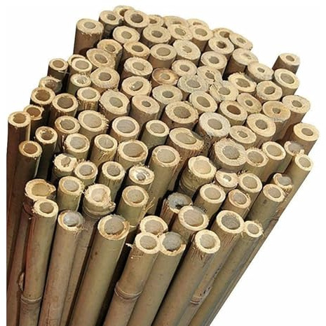 NG NICCOLAI - CANNE BAMBOO PER SOSTEGNO ORTAGGI, ARREDAMENTO E ALTRI USI - VARIE ALTEZZE E MISURE CONFEZIONI DA 10-25 - 50 PEZZI (10, H. 250 cm - Ø 20-22 mm)