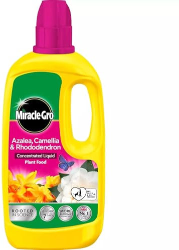 Miracle Gro Ericaceous Liquid Plant Food 800ml Concentrate Feed for Acid-Loving Plants Like Rhododendrons, Azaleas, Camellias, Blueberries Promotes Strong Growth, Green Leaves Pink - 1 Pack