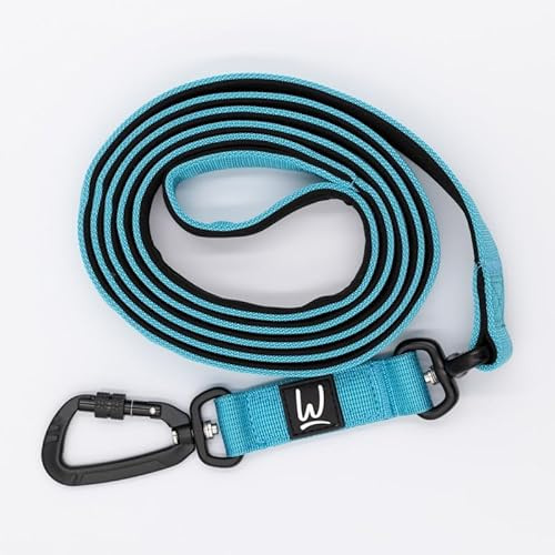 Tactical Dog Lead with Locking Carabiner Clip – Heavy Duty Nylon Dog Leash for Medium to Large Breeds – Soft Padded Handle – 160cm – Multiple Colors (Blue)