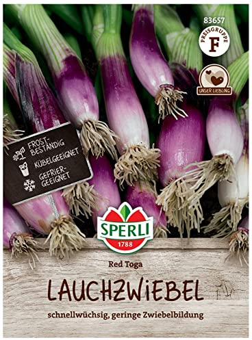 Sperli Lauchzwiebelsamen Red Toga 83657 - Lagerfähig, Besondere Pflanzen im Zwiebelsortiment, Frühlingszwiebeln für Salate & Partygemüse, Gemüsesamen für 2 lfd. Meter