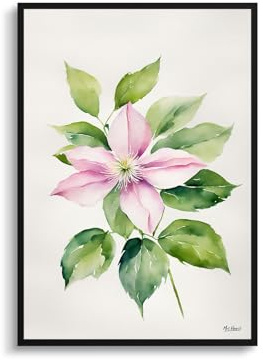 Mrs Henri's Clematis Mayleen Minimalist Art Print Watercolour Botanical Framed Montana Wall Art Poster