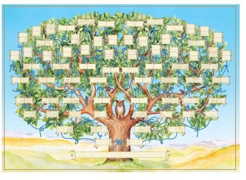 Nagoyuki Family Tree Chart to Fill in - Blank Ancestry Chart 6-Generation Fillable Genealogy Chart Genealogy Supplies