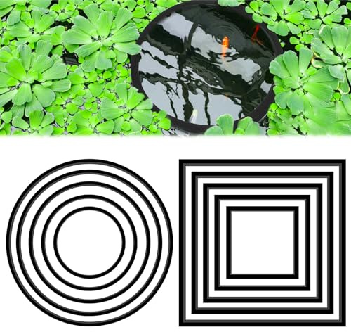 10 Pcs Aquarium Floating Plant Ring & Feeder Ring, EVA Fish Feeding Station with 5 Round + 5 Square Rings, Floating Food Corral for Freshwater & Saltwater Tank, 8-20cm Black