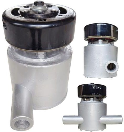 ZHOZHUT Generatore Idroelettrico da 1000W, 220V Generatori Idroelettrici Portatili A Corrente Alternata, 3500RPM Generatori con Nucleo in Rame Puro Guscio in Lega di Alluminio per Esterno,1000w,220V