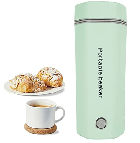 DanLink Bouilloire de Voyage, Bouilloire Rapide Petite Bouilloire Portable Matériaux Inoxydables Arrêt Automatique Convient pour Le Lait Le Café Vert