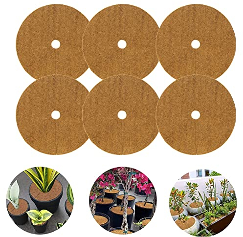 XNSHUN Kokos Mulchscheibe 10 Stück Kübelabdeckung Pflanzenschutz Mehrfach Verwendbar, Blumenkübel Winterschutz Für Kübelpflanzen, Nachhaltig Pflanzenschutz Frostschutz Kälteschutz Schutz (20CM)