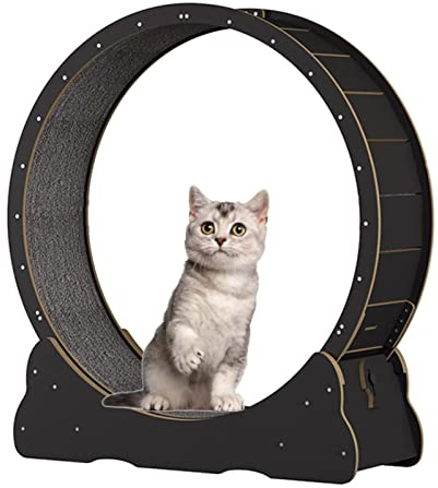 Katzenlaufrad, Katzenlaufrad für Hauskatzen, Katzenlaufband/Katzenlaufrad aus Holz, lückenloses Katzenlaufrad mit Sicherheitsverriegelung, einfache Montage (Größe: L)