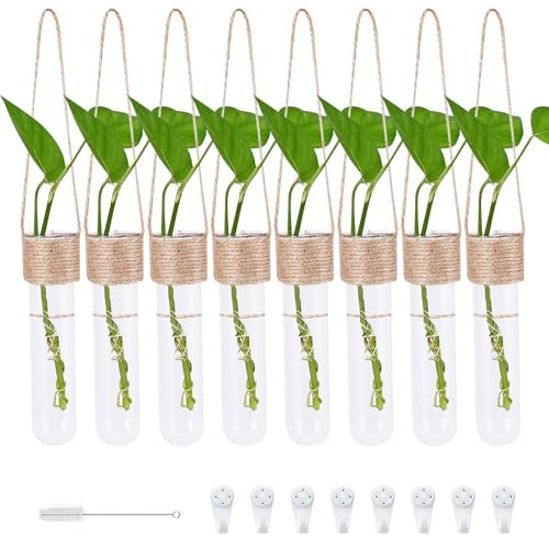 8 Terrarium Deko Reagenzglas Vase, Wanddeko Vasen Set, Hängender Behälter für Wasserkultur für Hydrokultur Pflanzen Room Deko Wohnzimmer Büro