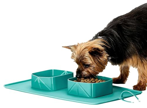 WJnflQN Cuencos de viaje para perros - Bandeja de golosinas de silicona plegable antideslizante | Cuenco de agua portátil antideslizante para perros - para gatos cachorros senderismo camping paseo