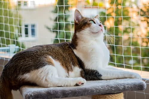 AIYGO Cat Balcony Netting 10 * 33ft Cat Anti-Fall Netting Duralble Nylon Balcony Screen for Pets Pet Safty Netting for Balcony, Windows and Patio