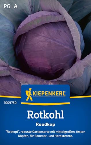 Kiepenkerl Rotkohlsamen Roodkop 1009750 - Robuste Sorte - Inhalt für 60 Pflanzen - Gemüsesamen, Samen Gemüse, Gemüsepflanzen, Saatgut, Samen Rotkohl