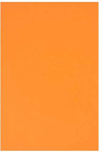 Netuno 20 Blatt Bastelkarton farbig Orange DIN A4 21 x 29,7 cm 230g Rainbow farbiges Kopierpapier bedruckbar für Inkjet Laser Schule Büro Basteln Druckerpapier bunt Bastelpapier Tonpapier