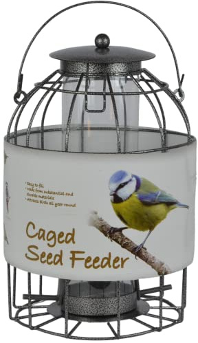 Green Jem Comedero para pájaros Silvestres, diseñado para disuadir a Ardillas y también pájaros de jardín más Grandes como Palomas y Palomas. Plata