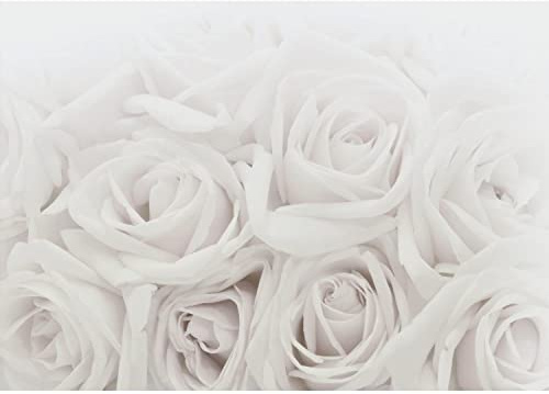 Runa Art Papel tapiz fotográfico flores rosas 352 x 250 cm Lana Fondo De Pantalla XXL Moderna Decoración De Pared Sala Cuarto Oficina Salón gris 9258011c