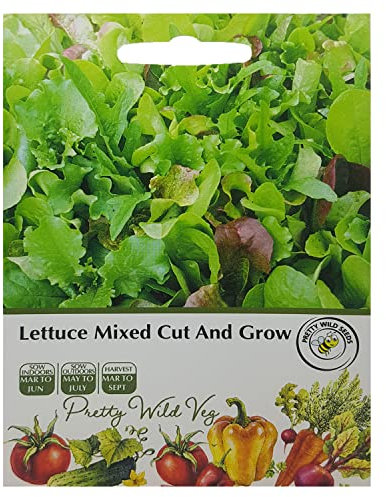 Lettuce Cut & Grow Mixed Seeds Vegetable Fruit Seeds Veg Seeds Cabbage Carrot Sweetcorn Tomato Strawberry (Lettuce Cut & Grow Mixed)