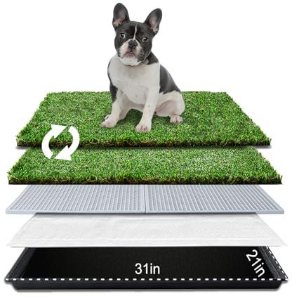 HQ4us - Almohadilla de césped para perros con bandeja, grande, de 31 x 21 pulgadas, con 2 césped artificial para perros con borde dobladillo, almohadillas para orina para perros, realista, menos olor,