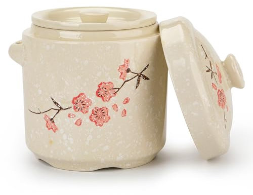 Bols à soupe en céramique, bol à dessert avec couvercle, marmite en porcelaine, cocotte à soupe Onion, ragoût en céramique avec couvercle, poêle à ragoût, tonique