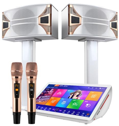 Equipo de karaoke profesional de 19,5 pulgadas, máquina de karaoke KTV con pantalla táctil capacitiva 4K con micrófono inalámbrico y altavoz de 10 pulgadas, disco duro de alta velocidad de 2T, 27 id