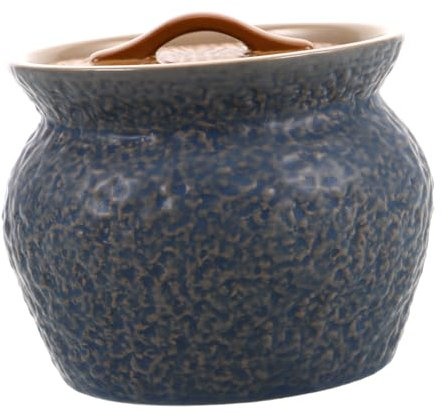 Garneck Marmite Céramique Avec Couvercle Cocotte Chinoise Petit Bol à Soupe Vapeur Marmite Pour Maison Ustensiles De Cuisine