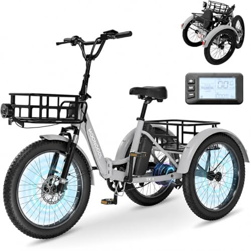 MOONCOOL E Bike Klapprad, 20 E Bike Herren Damen Mit 36V 20AH Akku, Motor Elektrofahrrad, LCD-Display, IP65, 45 NM Electric Bike Mit GroßEn KöRben und Fußstützen (Grau)