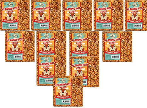 12-Pack of Mr. Bird Flaming Hot Feast Small Wild Bird Seed Cake 4 oz.