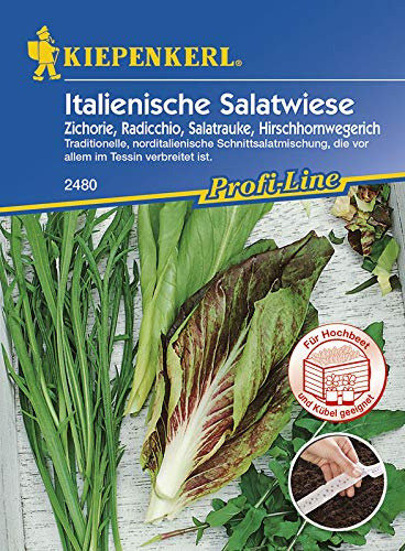 Kiepenkerl 2481 Italienische Salatwiese (Saatband) (Salatsamen)