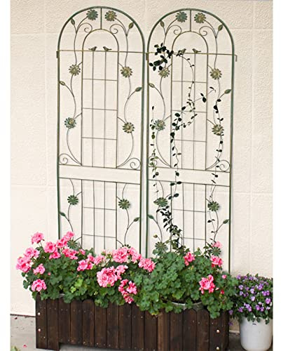 Enrejado Decorativo Grande para Exteriores (180 cm/200 cm), Valla metálica de Estilo Vintage para jardín, Soporte para Plantas trepadoras, Enredaderas, Flores y Verduras (180 cm/70,8 Pulgada