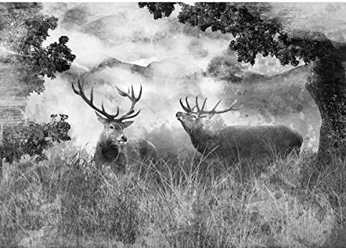 Runa Art Carta da parati fotografica 396 x 280 cm cervo naturale | Vello Decorazione Murale Soggiorno Camera Da Letto | Manifattura tedesca | Bianco e nero 9272012b