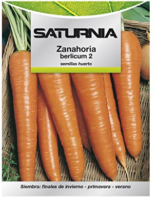 Semi di carota da giardino Berlicum (1,5 grammi)