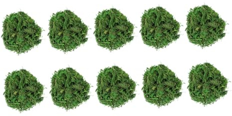 Holibanna 10pcs Natural Dried Decorative Moss for Potted Plants Peat Decorative Floral