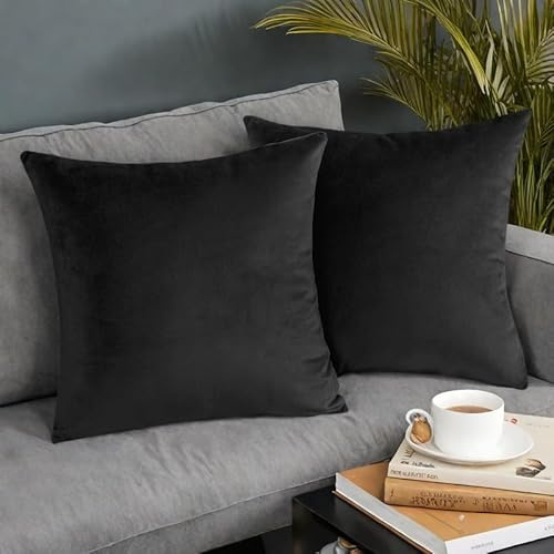 AMFUN Set of 2 Velvet Cushion Covers,Black 45 x 45 cm Luxury Velvet Square Throw Pillow Cases, Decorative Throw Pillowcases with Invisible Zipper, for Livingroom Sofa Bedroom