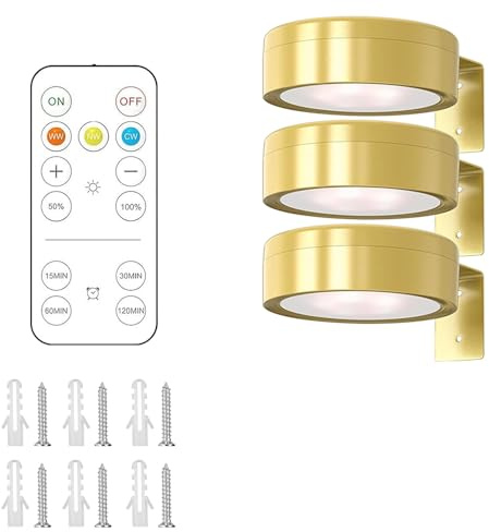 BNGXR Lot de 3 Lumière D'image de Batterie avec Télécommande, éClairage d'Image Sans Fil Lampe Tableau Sans Fil Led Aimantée 3 Températures De Couleur Lumière de Peinture Murale pour Affichage D'art