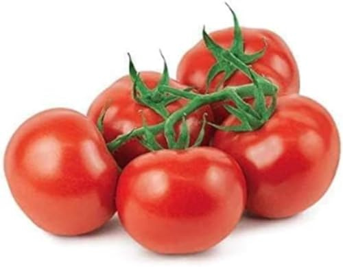 Swathi Vine Tomato Farm Fresh Ripened on The Vine Perfect for Salads, Sandwiches, Sauces, Salsas, and Everyday Cooking 1kg
