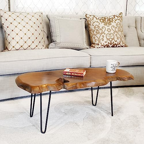 WELLAND Live Edge Teak Coffee Table with Metal Legs 40 L x 17 W x 16 H Rustic Side Table for Living Room, Bedroom, Home Office