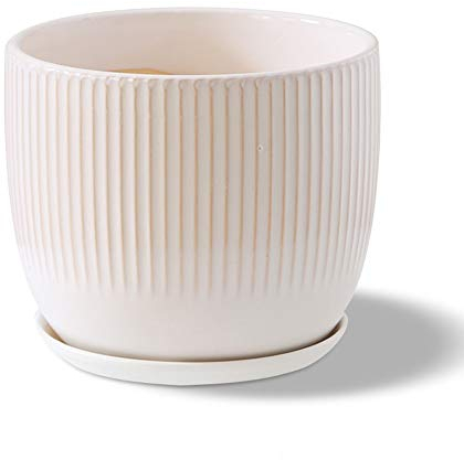 Extra großer Keramik-Blumentopf, Sukkulenten-Topfpflanzen, Keramik-Serien-Sukkulententopf, Kaktus-Blumentopf, Blumen-Bonsai-Töpfe, Behälter, Pflanzgefäß, Garten (Color : Beige, Size : 20.5 * 18cm)