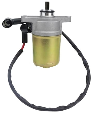 ARLEO 10 zähne Starter Motor for GY6 49cc 50cc Roller 139QMB Moped ATV Go Karts T//A//O//T//A//OS//U//N//LR//O//K//E//T//AT//A//N//K/B//A//J//A