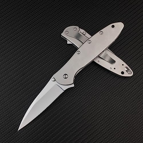Everyday Carry Pocket Knife, 2.8 inch 5Cr15 Mov Blade and Stainless Steel Handle, Flipper Assisted Opening Folding Knife with Frame Lock, Deep Carry Pocketclip for Camping