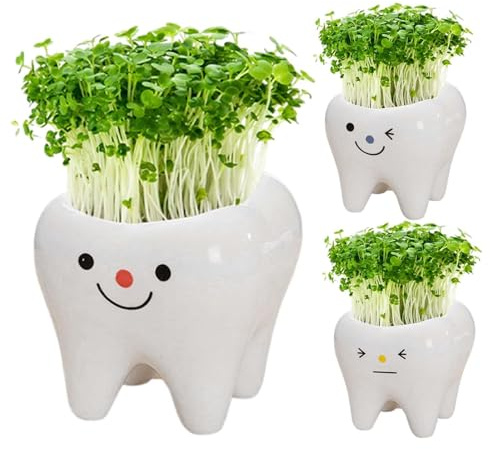 Zähne Keramik Pflanztopf Blumentopf 3 Stück Sukkulenten Töpfe Kleine Pflanzgefäß Für Garten Büro Schreibtisch Dekoration Kreative Zahnform Übertopf Kaktustopf Sukkulententöpfe Geschenk
