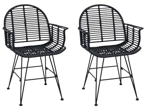 vidaXL Sedia da Pranzo 2 PCS Nero 44 x 44 x 74 cm Rattan e Ferro, Sedia da Pranzo Comoda, Rattan Moderno, mobili Funzionali, Poltrona Elegante, Seduta Interna Minimalista