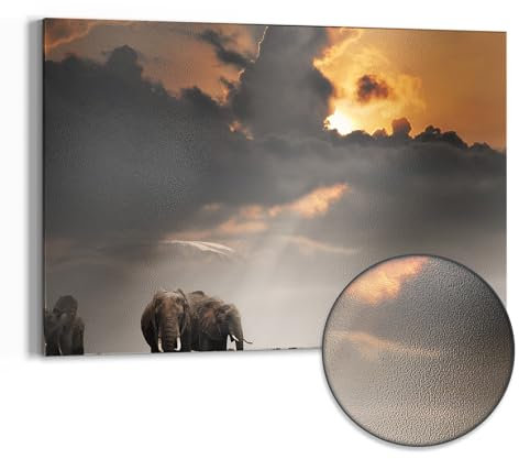 DEQORI Metall Magnettafel | 60x40 cm cm groß | Motiv Savannen Dämmerung | Whiteboard für alle Magnete | Magnetboard Wand-Tafel für Küche & Büro | Design Magnetwand Pinnwand magnetisch