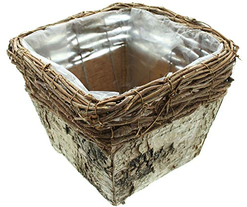 Pflanzer Naturrinde