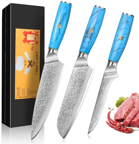 Damascus Kitchen Knife Set, 3 PCS, Chef Knife Set Made of 67 Layers of Vg-10 Damascus Steel, with Ergonomic Natural Resin Handle for Home Restaurant