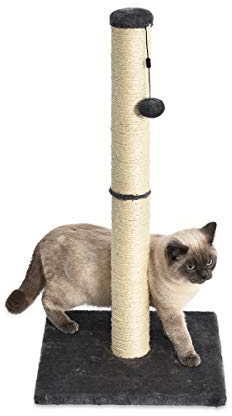 Amazon Basics Mittelgroßer Katzen-Kratzbaum, 40.01 x 40.01 x 80.01 cm, Grau