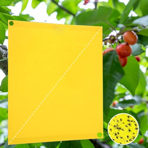 Panngu 40 moustiques Combattant moustiques dans Le terreau Autocollant Jaune deuil moustiques Contre Les Petites Mouches et Les Mouches Cerises