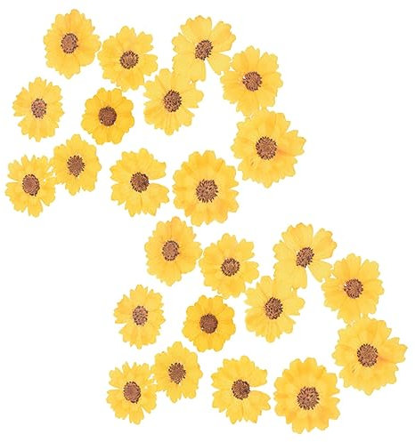 ULDIGI 24stücke Getrocknete Daisy Blumen Gepresste Blumen Für Scrapbooking Handyhüllen Bastelprojekte Für Handgefertigte Lesezeichen Und Dekorationen